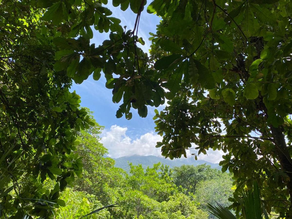 אל סאינו Las Mananitas De La Sierra מראה חיצוני תמונה