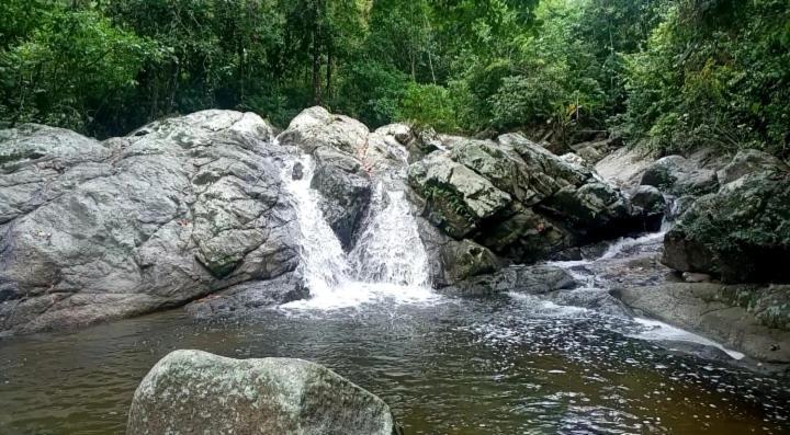 אל סאינו Las Mananitas De La Sierra מראה חיצוני תמונה